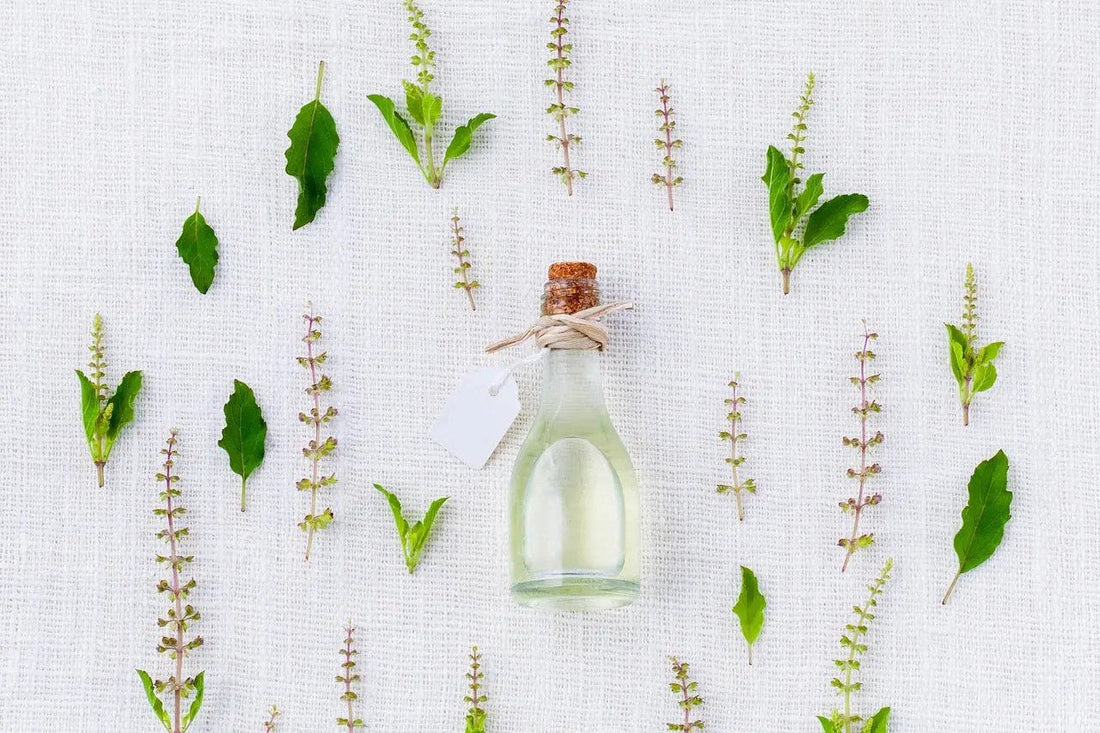 Perfumes veganos y cruelty-free
